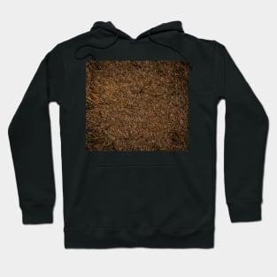 Needle Carpet Two Hoodie